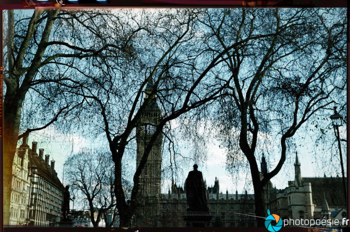 Photo du monument Elizabeth Tower sous les arbres